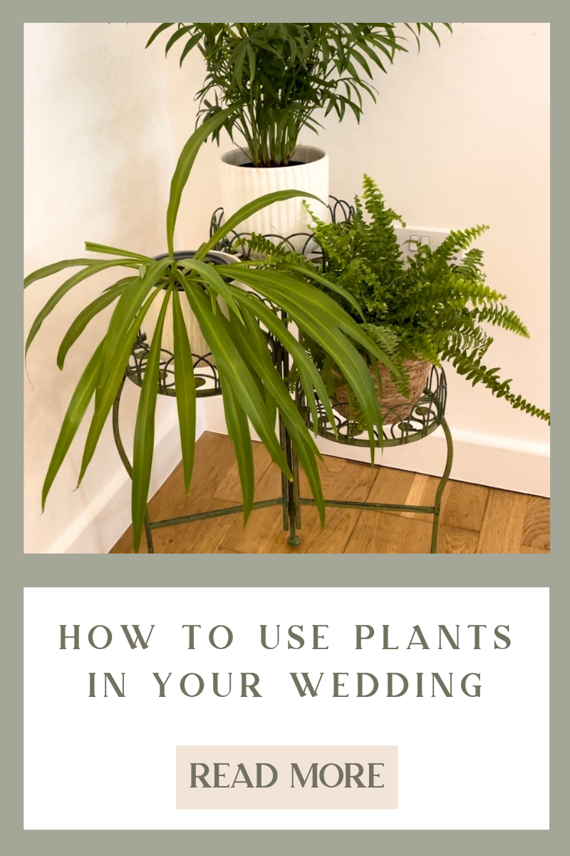 How to use plants in your wedding