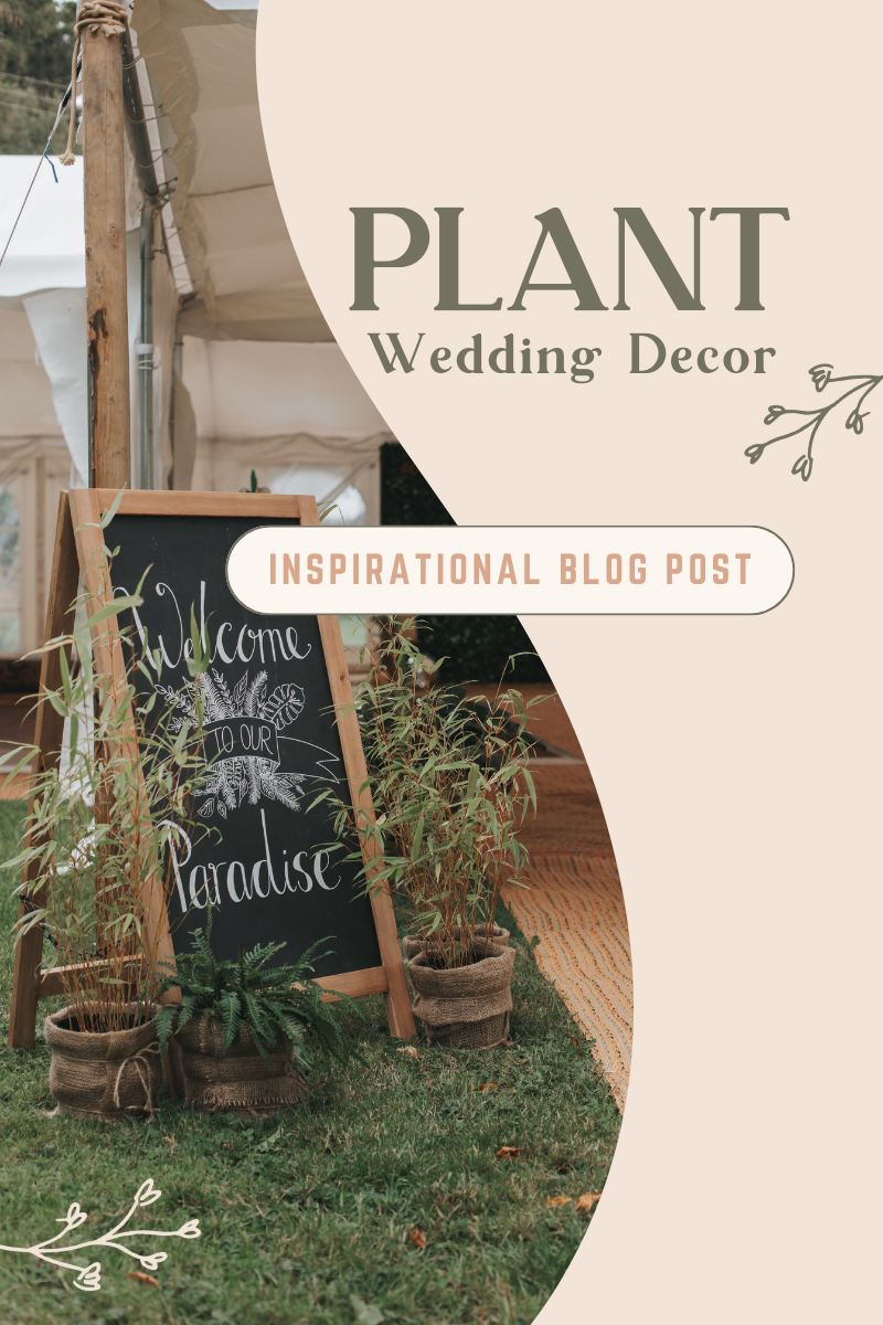 plant wedding decor inspirational blog post