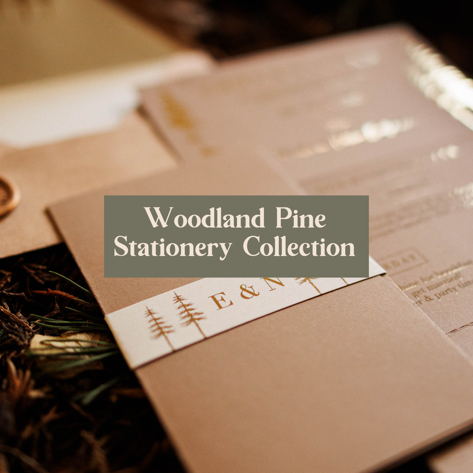 Woodland Pine Stationery Collection