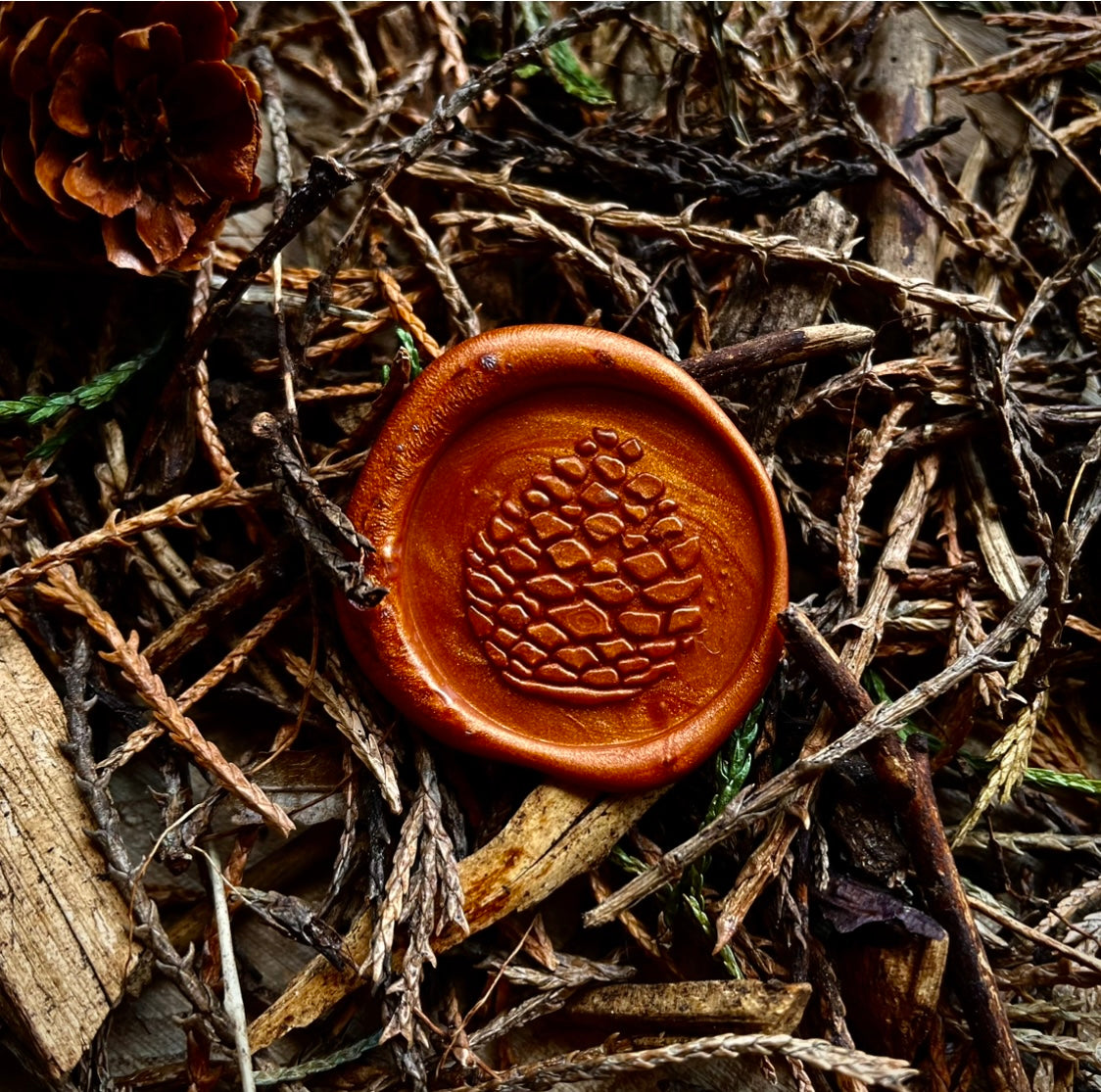 Acorn Wax Seal for stationery