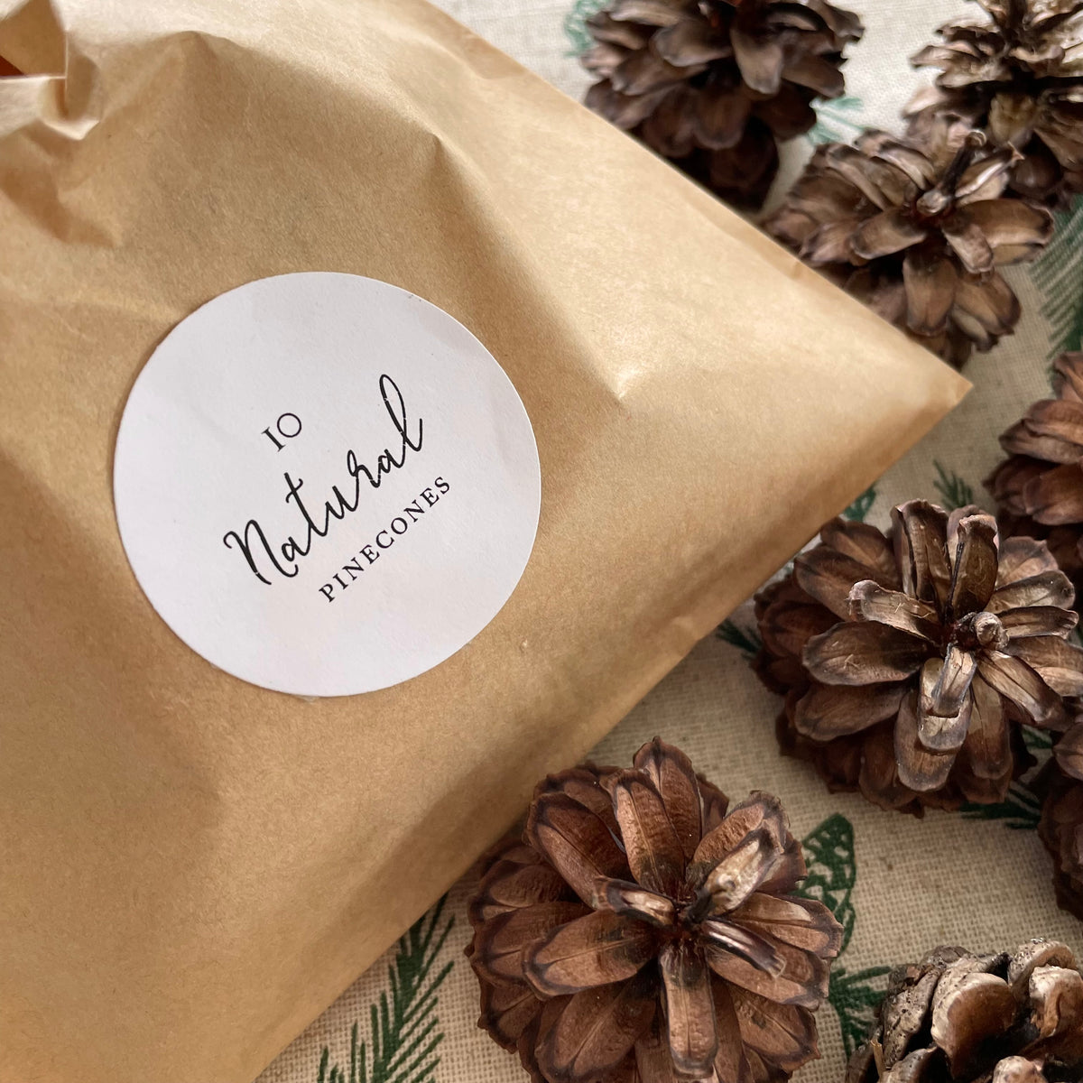 paper bag natural pinecones for table styling for autumn and christmas